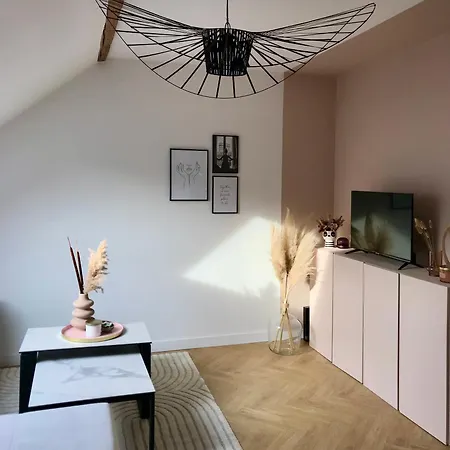 Cocon Sous Les Toits Apartmán Guebwiller